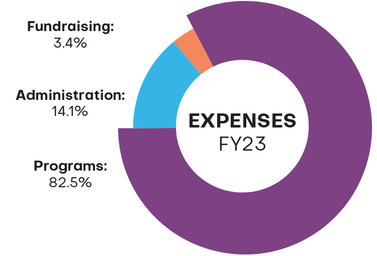 Helen Keller Intl expenses